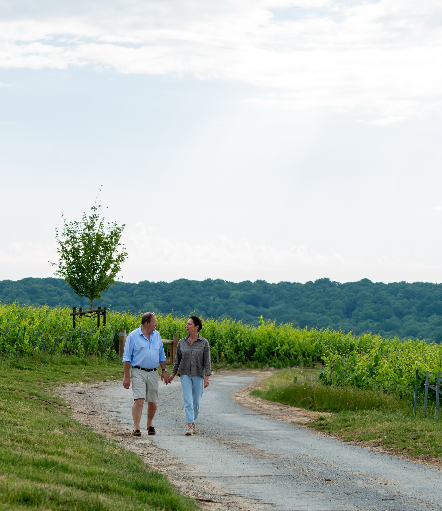 537190678_18152736085387678_3599532792251199906_n